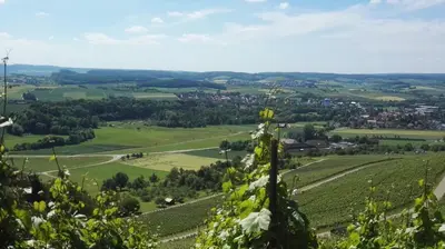 Naturlandschaft in der Nähe der Pension