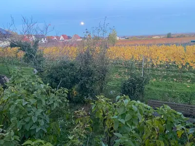 Naturlandschaft in der Nähe der Ferienwohnung