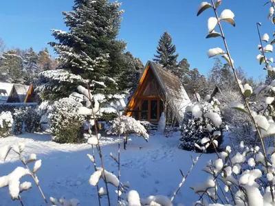Ferienpark Schellbronn - Wolfseeweg 11 und Wolfseeweg 9 im Winter