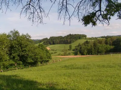 Naturlandschaft in der Nähe der Ferienwohnung
