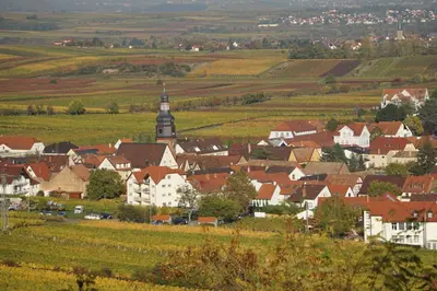 Naturlandschaft in der Nähe der Ferienwohnung