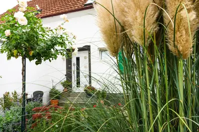 Ein Garten an der Unterkunft Annas Oase