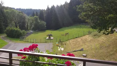 Naturlandschaft in der Nähe des Hotels