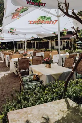 Ein Restaurant oder anderes Speiselokal in der Unterkunft Hotel Zur alten Mühle
