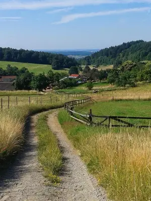 Naturlandschaft in der Nähe der Ferienwohnung