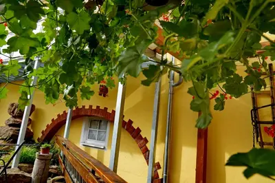 Ein Garten an der Unterkunft Zum Ochsen