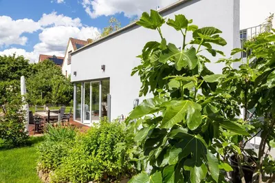 Ein Garten an der Unterkunft Ferienwohnung im Paradiesgarten