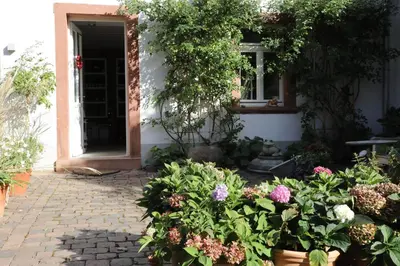 Ein Garten an der Unterkunft Julius in der Pfalz