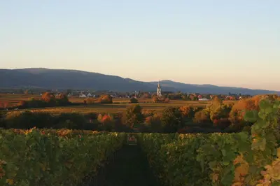 Naturlandschaft in der Nähe der Ferienwohnung