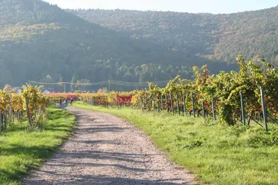 Naturlandschaft in der Nähe der Ferienwohnung