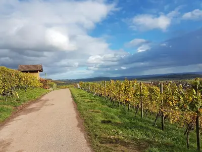 Naturlandschaft in der Nähe des Privatzimmers