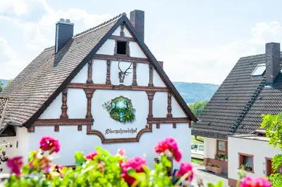 Naturlandschaft in der Nähe des Hotels