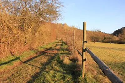 Naturlandschaft in der Nähe der Ferienwohnung