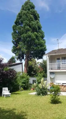 Ein Garten an der Unterkunft Ferienwohnung Schlossblick