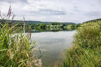 Naturlandschaft in der Nähe der Ferienwohnung