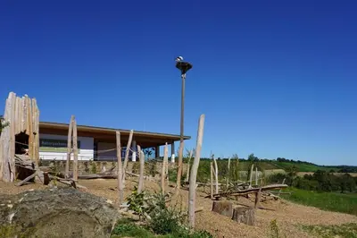 Naturlandschaft in der Nähe der Ferienwohnung