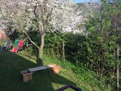 Ein Garten an der Unterkunft schones Zimmer in Gimmeldingen/ Konigsbach