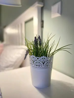 Ein Bett oder Betten in einem Zimmer der Unterkunft Bed n Riesling