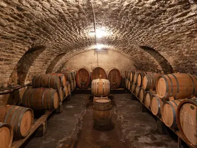 Grundriss der Unterkunft Gästezimmer im Weingut Wolf