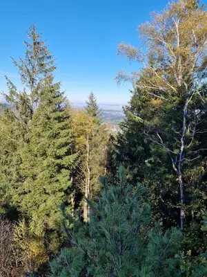 Naturlandschaft in der Nähe des Hotels