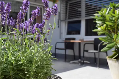 Ein Garten an der Unterkunft Hotel Regina