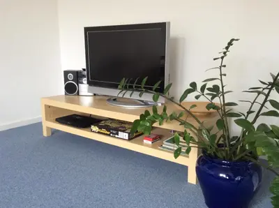 TV/Unterhaltungsangebot in der Unterkunft Heidelberg Appartements Berger