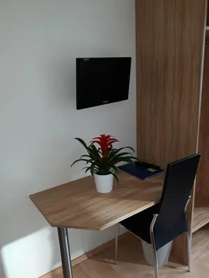 TV/Unterhaltungsangebot in der Unterkunft Hotel Restaurant Stern