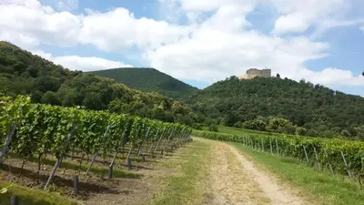Ein allgemeiner Bergblick oder ein Berglick von der Pension aus