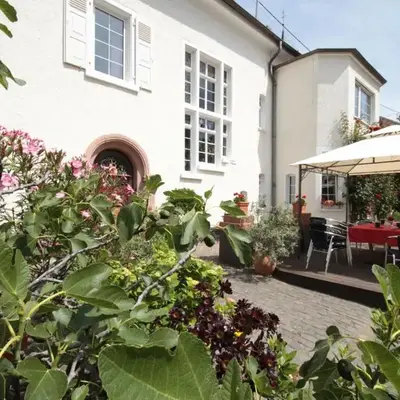 Bio-Weingut