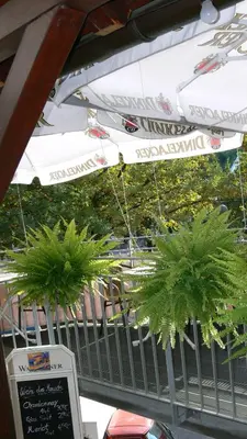 Ein Zertifikat, Auszeichnung, Logo oder anderes Dokument, das in der Unterkunft Hotel Rössle ausgestellt ist