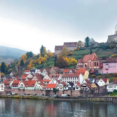 Neckarblick
