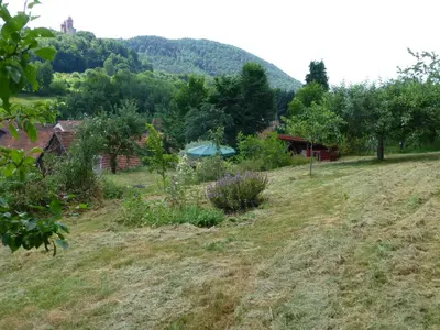 Naturlandschaft in der Nähe der Ferienwohnung