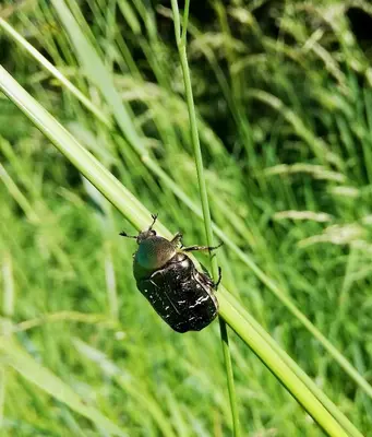 Grundriss der Unterkunft Odenwald Lounge im Naturpark Bergstraße-Odenwald