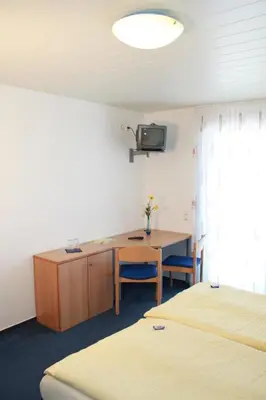 TV/Unterhaltungsangebot in der Unterkunft Hotel Gramlich