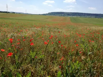 Naturlandschaft in der Nähe der Ferienwohnung