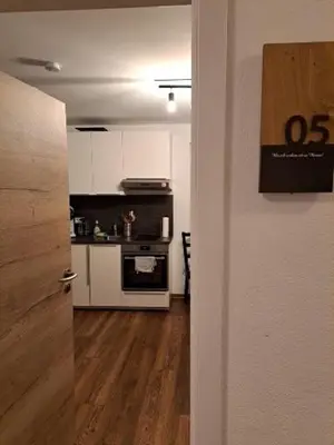 Küche/Küchenzeile in der Unterkunft Aulbach' s Appartments