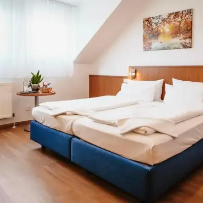 Hotel & Restaurant Goldener Pflug