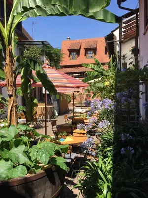 Ein Garten an der Unterkunft Ferienweingut Peter Stübinger