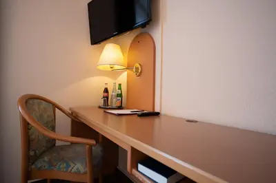 TV/Unterhaltungsangebot in der Unterkunft Hotel Zum Prinzen Sinsheim