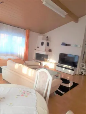 TV/Unterhaltungsangebot in der Unterkunft Ferienwohnung mit Kamin