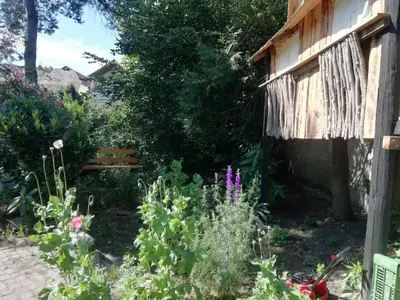 Ein Garten an der Unterkunft Ferienwohnung Familie Faath