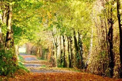 Naturlandschaft in der Nähe der Pension