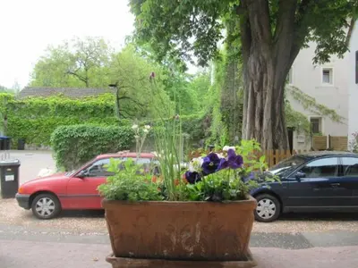 Ein Garten an der Unterkunft Zwischen-Rhein-und-Reben, zentral, barrierefrei