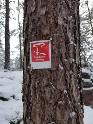 Höllenbergblick im Winter
