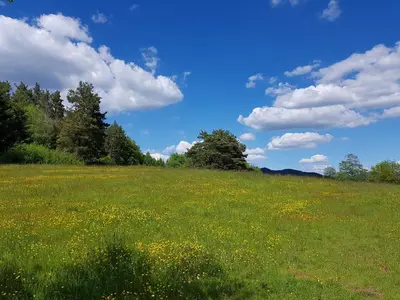 Naturlandschaft in der Nähe der Ferienwohnung