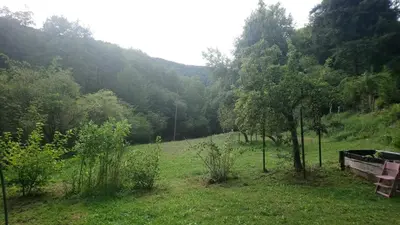 Naturlandschaft in der Nähe des Bed & Breakfasts