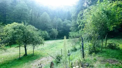 Naturlandschaft in der Nähe des Bed & Breakfasts