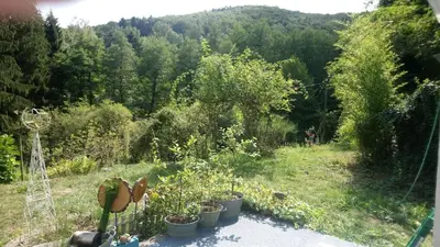 Naturlandschaft in der Nähe des Bed & Breakfasts