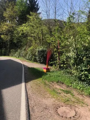 Naturlandschaft in der Nähe des Bed & Breakfasts