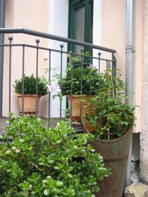 Grundriss der Unterkunft Alte Backstube - Ferienwohnung & Appartement